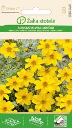 Bidens Seeds